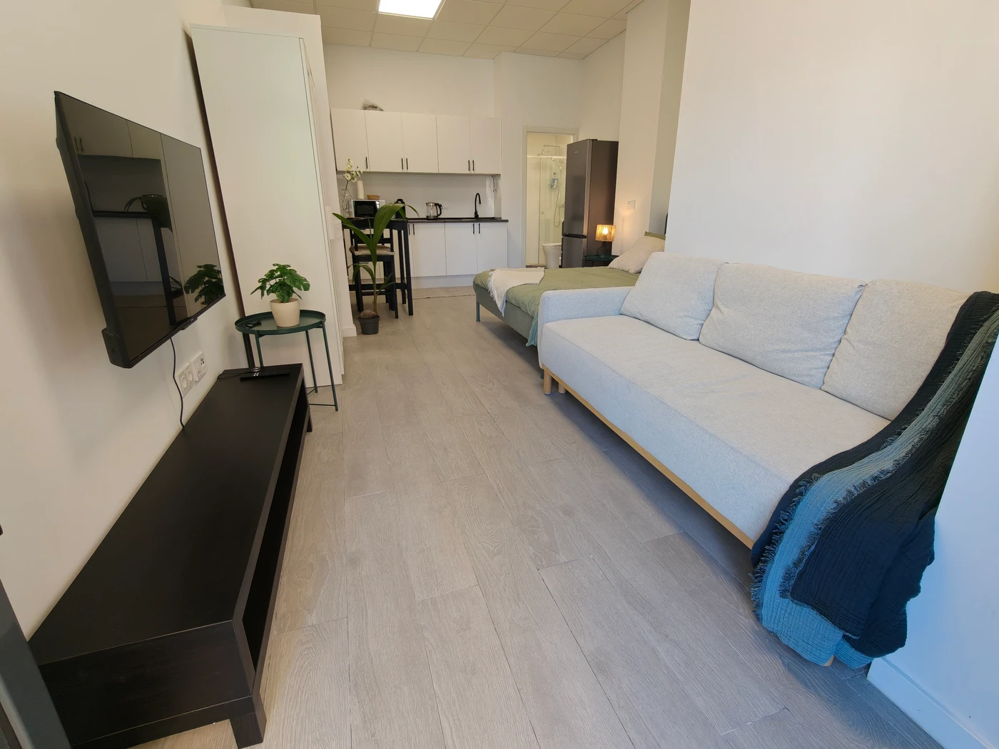 Studio Luna